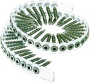 Senco 08T200W Duraspin #8 X 2-Inch, Cement Board Collated Screw, 1,000 Ct.