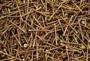 (3500) Torx T20 Star Flat Head 8 X 2 Yellow Zinc Type 17 Outdoor Wood Screw Bulk