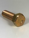 1/4 Inch X 1/2 Inch Hex Cap Screw Grade 9 Zinc Yellow Plated Steel (Quantity: 100 Pcs) Made in USA, 1/4-20 X 1/2 Hex Bolt/Coarse Thread/Fully Threaded