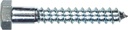 230036 Lag-Screws