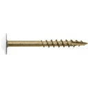 #8 X 1-5/8" Bronze Star Exterior Coated Modified WHITE Truss Head - Cabinet Wood Screw Torx/Star Drive Head (5 Lbs ~800 Screw Count) Multipurpose Exterior Coated Torx/Star Drive Wood Screws