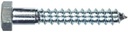 Hillman 5/16 In. X 4 In. L Hex Zinc-Plated Steel Lag Screw 50 Pk