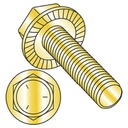 1/4-20 X 1" Serrated Hex Flange Screws/Unslotted/Grade 5 / Zinc Yellow (Carton: 2,000 Pcs)