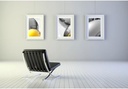 STAS Cliprail Pro (1 Picture Rail 59", Including Installation Hardware)